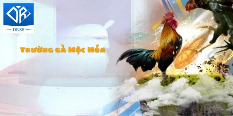 Trường Gà Mộc Hóa – Nơi Hội Tụ Những Trận Đấu Hấp Dẫn 4 Trường Gà Mộc Hóa – Nơi Hội Tụ Những Trận Đấu Hấp Dẫn